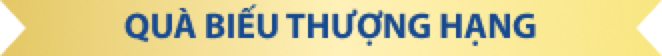 Quà biếu thượng hạng